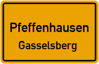 Gasselsberg in PfeffenhausenGasselsberg