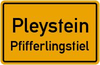 Straßen in Pleystein Pfifferlingstiel