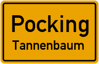 Tannenbaum in 94060 Pocking (Tannenbaum)