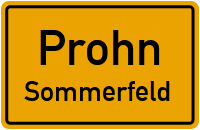 Waldweg in ProhnSommerfeld