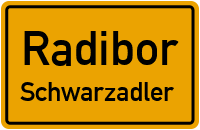 Schwarzadler in RadiborSchwarzadler