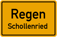 Schollenried in RegenSchollenried