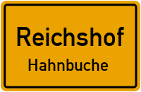 Schmittseifer Straße in ReichshofHahnbuche