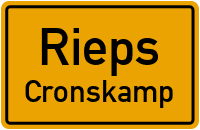 Seitenstraße in RiepsCronskamp