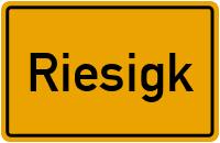 City Sign Riesigk