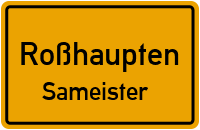 St 2059 in RoßhauptenSameister