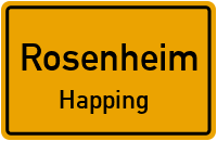 Traunstraße in 83026 Rosenheim (Happing)