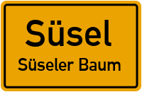 Bischof-Kieckbusch-Straße in SüselSüseler Baum
