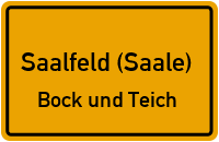 Am Sommerberg in Saalfeld (Saale)Bock und Teich