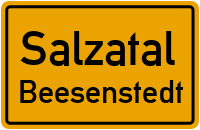Landrain in SalzatalBeesenstedt