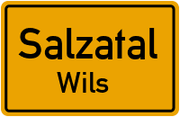 Fienstedter Str. in SalzatalWils