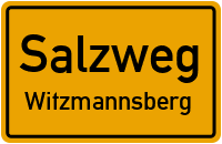 Bergstraße in SalzwegWitzmannsberg