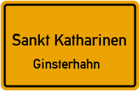 Im Brochenbach in Sankt KatharinenGinsterhahn