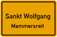 Mammersreit in Sankt WolfgangMammersreit