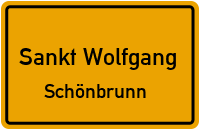 Dorfstraße in Sankt WolfgangSchönbrunn