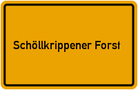 Heinrichsthaler Weg in Schöllkrippener Forst