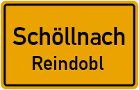 Straßen in Schöllnach Reindobl