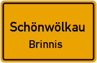 Am Ziegelholz in 04509 Schönwölkau (Brinnis)