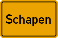 Schapen in Niedersachsen