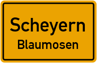 Blaumosen in ScheyernBlaumosen