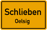 Oelsiger Waldstraße in SchliebenOelsig