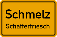 Birkenweg in SchmelzSchattertriesch