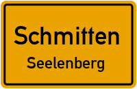 Feldbergblick in SchmittenSeelenberg