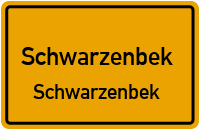 Lauenburger Straße in SchwarzenbekSchwarzenbek