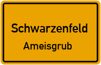 Straßen in Schwarzenfeld Ameisgrub