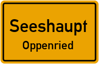 Straßen in Seeshaupt Oppenried
