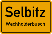Hirschberger Weg in SelbitzWachholderbusch