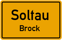 Brock in SoltauBrock