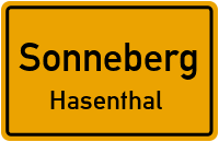 Sonneberger Straße in SonnebergHasenthal