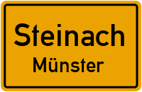 Steinacher Straße in 94377 Steinach (Münster)