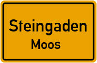 Moos in SteingadenMoos