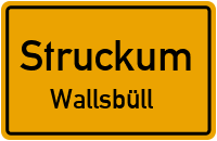 Koogchaussee in StruckumWallsbüll