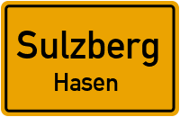 Hasen in SulzbergHasen