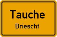 Torfweg in TaucheBriescht