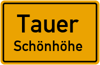 Hauptweg in TauerSchönhöhe