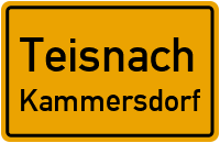 Adolf-Pfleiderer-Straße in TeisnachKammersdorf