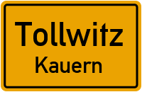Die Neue Straße in 06231 Tollwitz (Kauern)