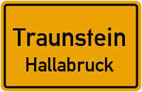 Salzburger Straße in TraunsteinHallabruck