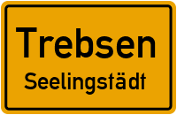 Grimmaer Straße in TrebsenSeelingstädt