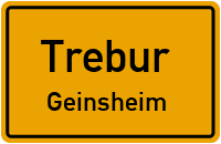 Oppenheimer Straße in 65468 Trebur (Geinsheim)