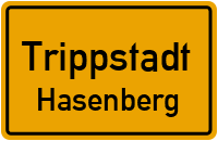 Otto Kallenbach Straße in TrippstadtHasenberg