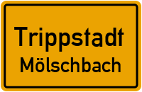 Bergfeld in TrippstadtMölschbach