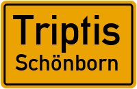 Schönborn in TriptisSchönborn