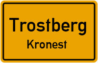Kronest in TrostbergKronest