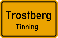 Birkenstraße in TrostbergTinning