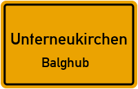 Balghub